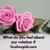 What do you feel about our relation # hushcupid.com
