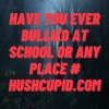 Have you ever bullied at school or any place # hushcupid.com Have you ever bullied at school or any place # hushcupid.com