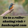 Go to a roller-skating rink # hushcupid.com Go to a roller-skating rink # hushcupid.com