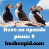 Have an upscale picnic # hushcupid.com