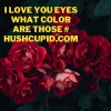 i love you eyes what color are those # Hushcupid.com