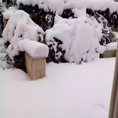 G5BZoVgvvWmaCfUEjnktfgYjvLh.jpg